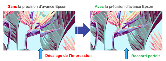 Impression sans décalage avec Epson SC-R5000